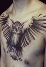 Tatuaggio sul petto di gufo misterioso