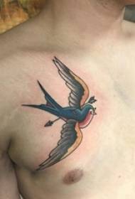 tatuatge ocell masculí color del pit tatuatge ocell imatge del tatuatge