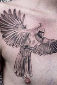 Photos de tatouage poitrine poitrine garçons masculins poitrine noire perroquet