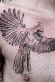 Buachaillí fireann cófra tattoo cófra pictiúir tattoo parrot dubh