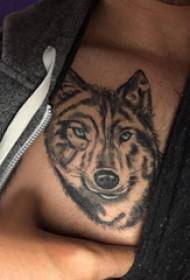 Tatoveringskiste mannlige gutter brystet tatoveringsbilder av svart ulvhode