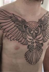 Cófra Tattoo buachaillí fireann cófra dubh owl tattoo pictiúir 50990-Tattoo cófra buachaill fear cófra dubh fia tattoo pictiúr