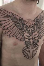 Tatuaj piept masculi băieți piept piele bufniță negru poze tatuaj 50990-Tatuaj piept bărbat băiat piept piept cerb negru imagine