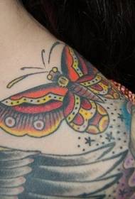 modello di tatuaggio farfalla colorata spalla