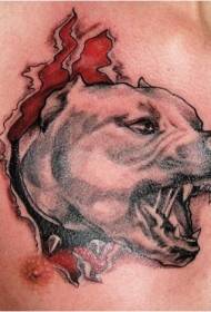sundan sa tawo nga nag-atake sa panit sa panit sa luha sa tattoo nga tattoo