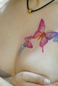 красота гърдите красива пеперуда татуировка снимка Daquan