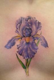 patrón de tatuaje de pecho de flor de iris púrpura realista realista