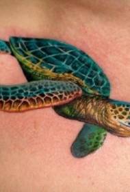 грудь красивый реалистичный рисунок тату черепаха