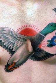 cor de patrón de tatuaxe de peito de pato de cor