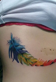 bellissimo tatuaggio di piume colorate sulla costola