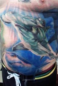 Modèle de tatouage de requin style réalisme abdominal