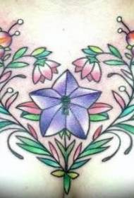 fíniúna bláth agus tattoo cófra hummingbird Patrún