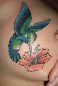 patrón de tatuaje de flores y colibrí de pecho de mujer 53284 - patrón de tatuaje de vid de cráneo de moda de abdomen