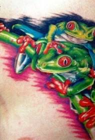 bröstet realistiska grenar och röda ögon groda tatuering mönster