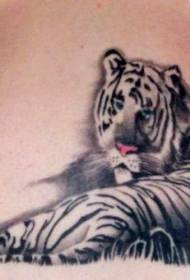 Kleurpersoonlikheid Wit Tiger Tattoo Patroon