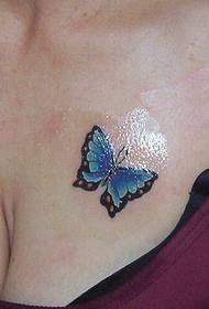 plump MM blue butterfly tattoo on the chest