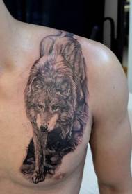 mellkas és a váll reális farkas tetoválás minta