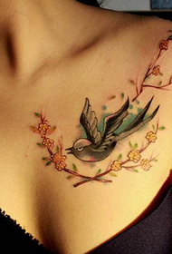 Matawi ya kifua cha uzuri na miundo ya tattoo ya ndege