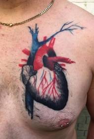 Chest realistic color human heart tattoo pattern