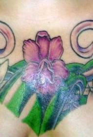 orchidėjų augalų spalvos krūtinės tatuiruotės modelis