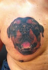 प्यारा Rottweiler पोर्ट्रेट छाती टैटू पैटर्न