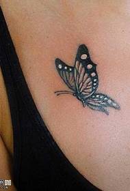 disegno del tatuaggio farfalla sul petto