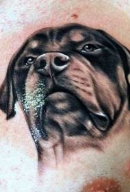 bularrean Rottweiler tatuaje beltz errealista