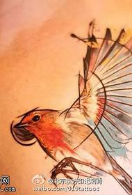 Piccolo modello colorato del tatuaggio dell'uccello delle belle ali
