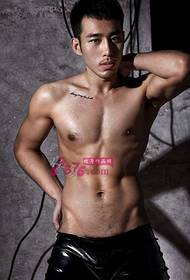 type male Lin Bone clavicle English fashion tattoo picture