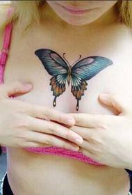 美女胸部性感彩色蝴蝶纹身图案图片