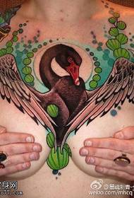 hrudník sexy labutí tetování vzor