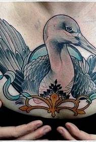 sexig skönhet bröstar en snygg och vacker tatueringsbild av svanen