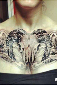 Boob Hezký Cool ovce hlavy tetování obrázek