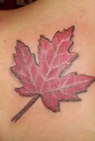 gražių klevo lapų tatuiruočių rinkinys