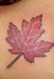 seata de tattoos duilleach maple brèagha