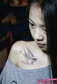 可爱美女胸前唯美燕子纹身图片