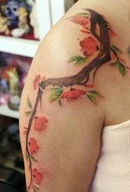 Peach Blossoms, a bunch of cute, deep red, red, red