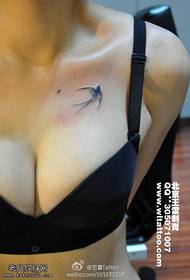 modello tatuaggio rondine leggero ed elegante