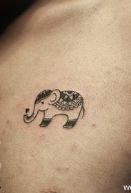 bellissimo modello di tatuaggio elefantino sul petto