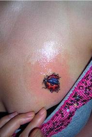 Peito de garota sexy bonita sensata pequena foto tatuagem inseto