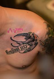 male chest swallow personalized tattoo picture