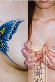 weibliche Brust Farbe blau Schmetterling Tattoo Anerkennung Bild 56150 - Haut weiß Schönheit Brust Lotus Tattoo Muster Bild