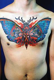 male chest domineering moth tattoo picture