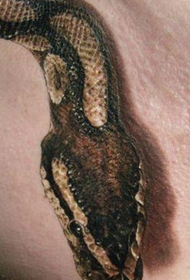 мъжки гърдите личност 3d змия татуировка