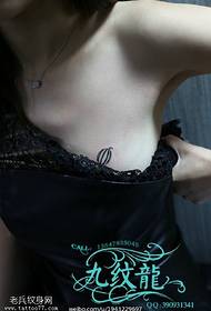 සරාගී පුංචි කොමඩු පච්ච රටාව