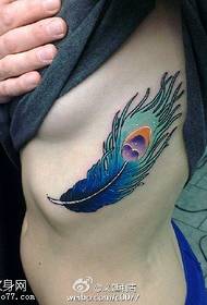 couleur magnifique motif de tatouage de plume de paon