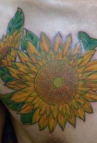 tatuaje de girasol de personalidad masculina en el pecho