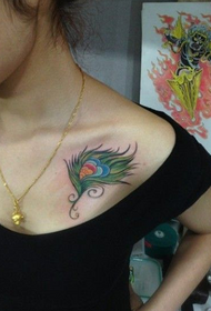 rameno krásne pávie perie tetovanie vzor