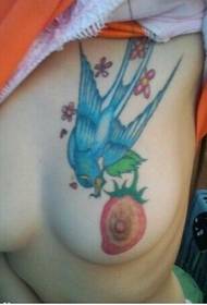 女生胸部性感漂亮的小燕子纹身图图片