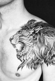 fantje ramena črna črta črta abstraktna črta slika male živali živali lev